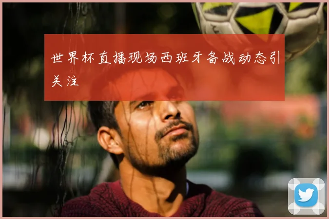 世界杯直播现场西班牙备战动态引关注