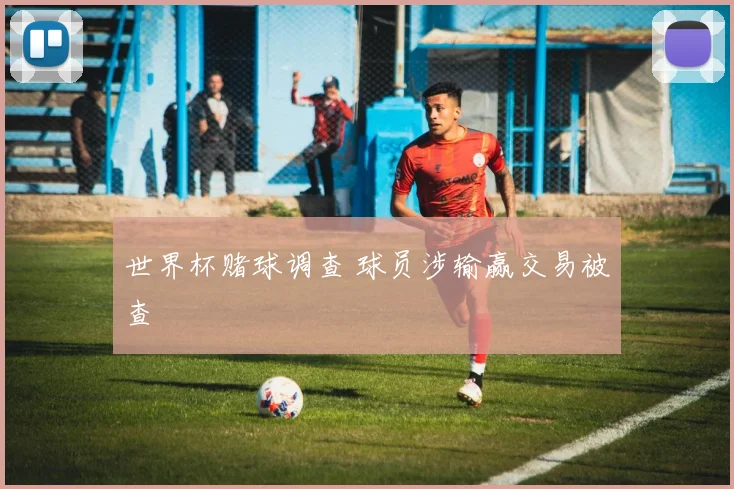 世界杯赌球调查 球员涉输赢交易被查