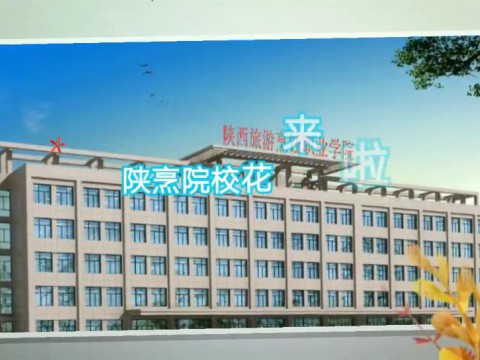 陕旅烹院花来了