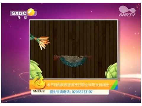 陕西电视台好管家《直通陕烹院》