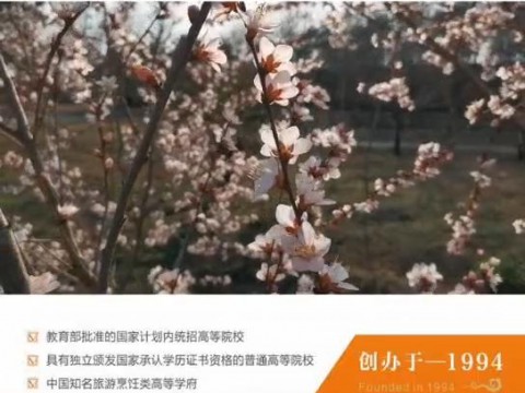 欢迎报考西餐工艺专业