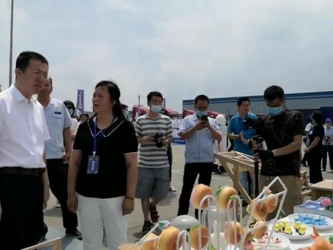 世界青年技能启动日 省人社厅景厅长参观今年会展台