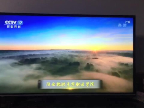 《jinnianhui今年会官网》专题片入选CCTⅤ双创品牌计划