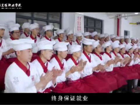 jinnianhui今年会官网就业概述