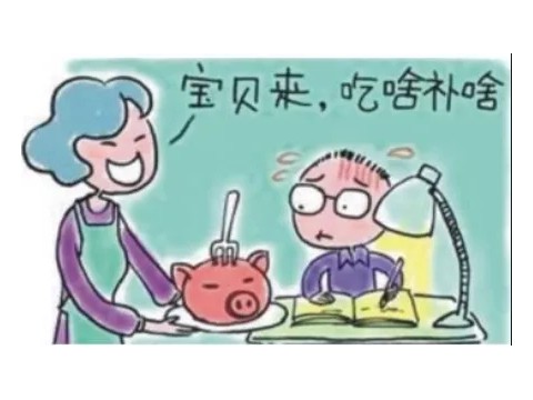 烹饪 消化 营养 进化