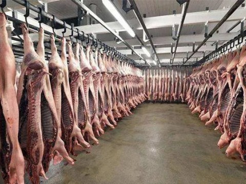 美食文化系列谈（六）|～小时候的味道