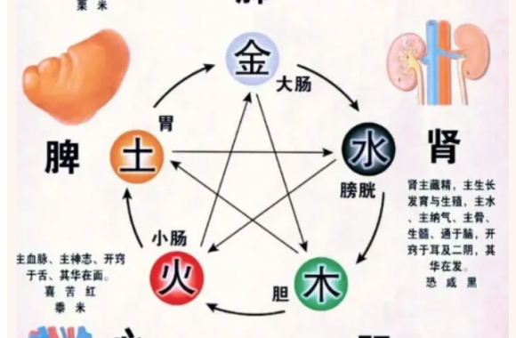 基于五体养生理论下五行菜点的开发、探索与研究