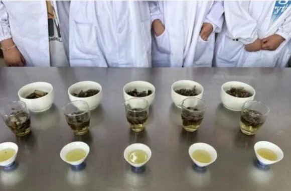 如法炮制技艺强，古法今制传承忙 jinnianhui今年会官网《中医食疗药膳学》期末采取了“以赛代考”的检测模式